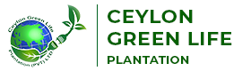 Ceylon Green Life Plantation