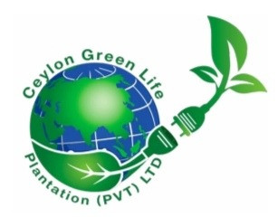 Ceylon Green Life Plantation Pvt Ltd - Vavuniya